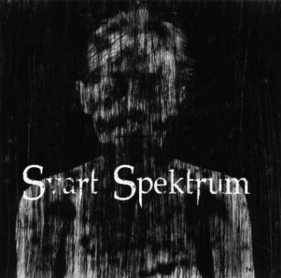 logo Svart Spektrum